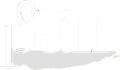 PAII logo