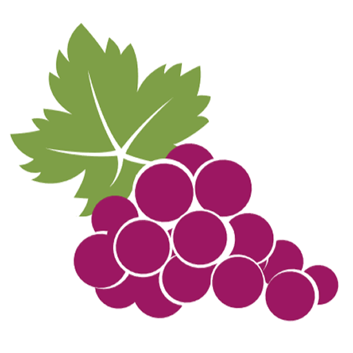 Stencil style illustration of a freshly picked bunch of purple grapes with large green leaves