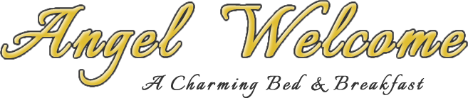 Angel Welcome Logo