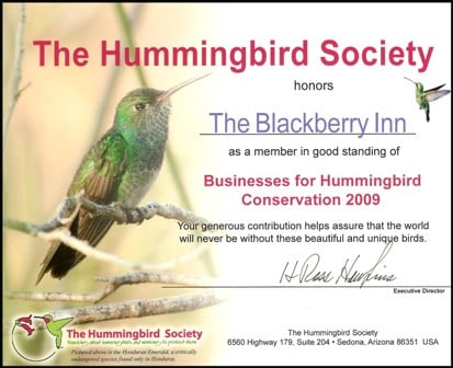 The Hummingbird Society