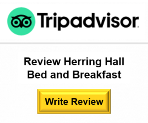 TripAdvisor Reviews