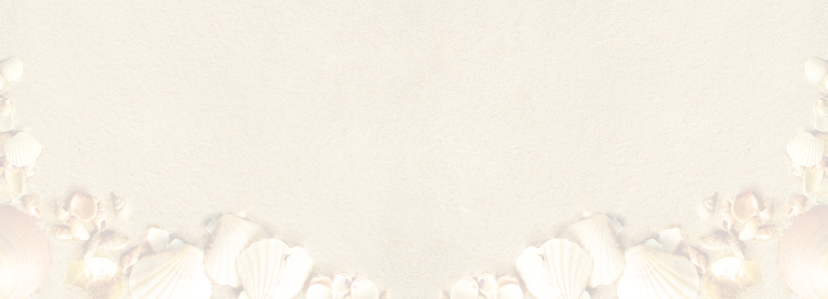 sand and sea shells