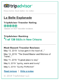 trip_advisor_review