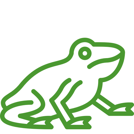 Illustration of frog Logo Lilly Pad North