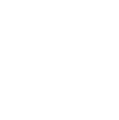 Trip Advisor Logo