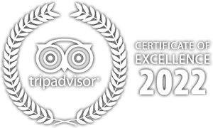 TripAdvisor Award