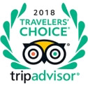 trip advisor travelers choice