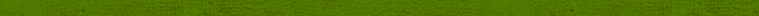 Green horizontal line