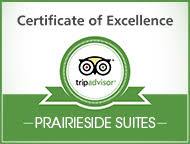 Tripadvisor certificate of excellence