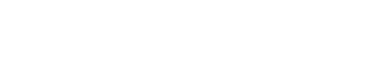 The Vineyard