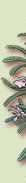 illustration sprig of tree branch