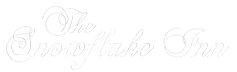 Snowflake logo 2