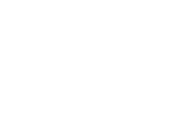 White House Hotel Logo