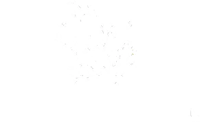 Logo featuring a stylized tree with green leaves and brown branches. The trunk extends into the text 