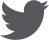 Twitter Icon
