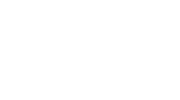 viking inn logo