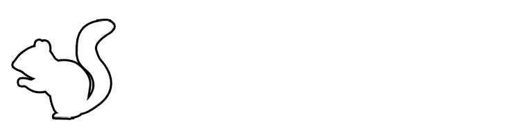 White Squirrel Website Solutions
