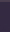 Purple spacer graphic